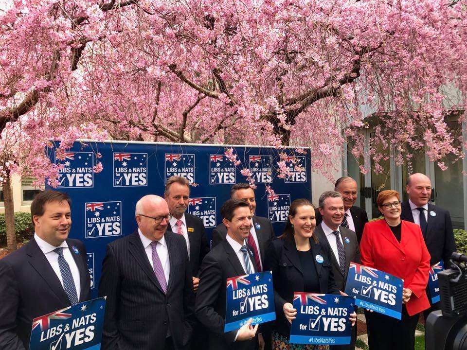 Marise Payne